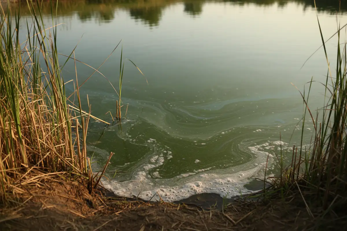Wann ist Baden im Badesee gefährlich?