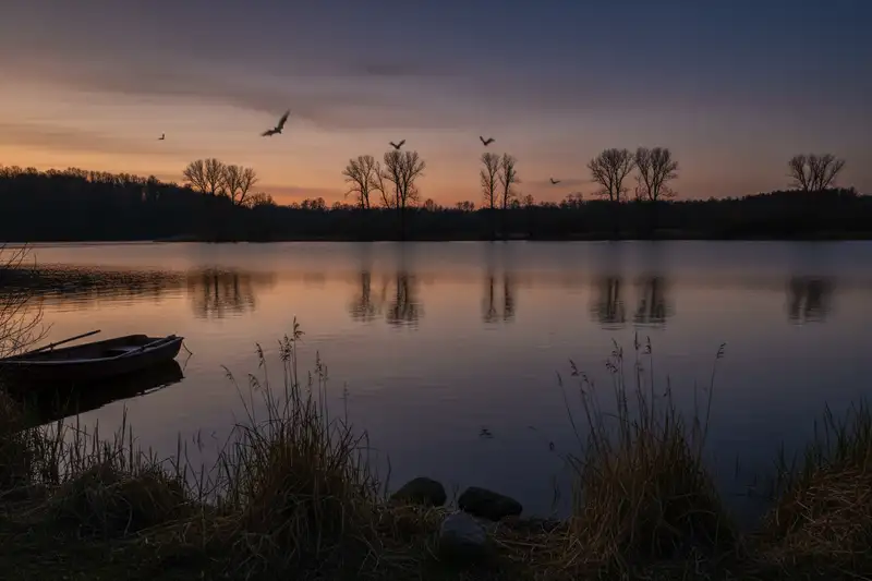 Fledermäuse senken ihren Herzschlag im Winterschlaf von mehreren hundert auf nur 18 bis 80 Schläge pro Minute