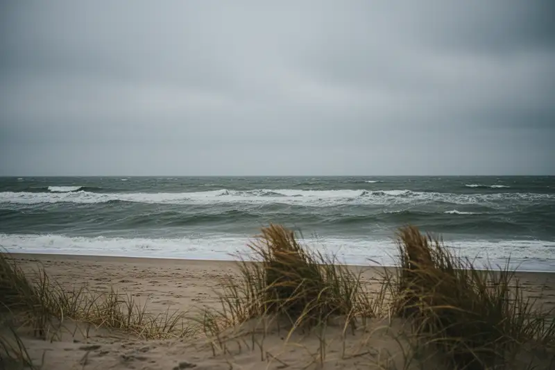Phytoplankton und Sedimente färben die Nordsee grünlich-grau, während der offene Ozean tiefblau erscheint