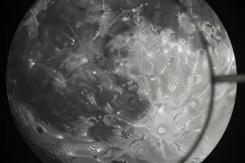 Der Mond reflektiert nur 12 Prozent des auftreffenden Sonnenlichts und hat damit eine ähnliche Albedo wie verwitterter Asphalt