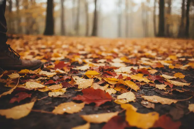Ein sonniger September mit kühlen, frostfreien Nächten liefert die kräftigsten Herbstfarben, ein warmer trüber Herbst nur matte Töne
