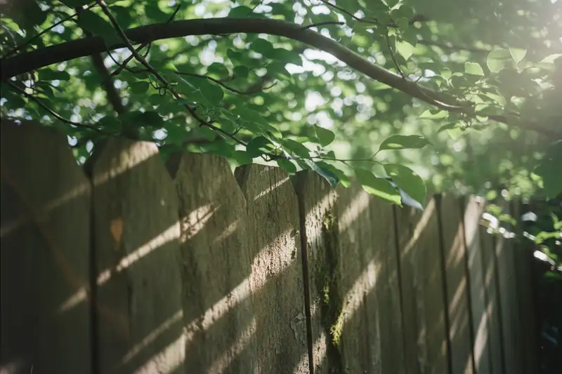 Überhängende Äste über einem Gartenzaun: § 910 BGB erlaubt das Abschneiden nach Fristsetzung