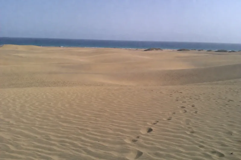 Die Dünen von Maspalomas auf Gran Canaria stehen seit 1987 unter Naturschutz und bedecken rund 400 Hektar