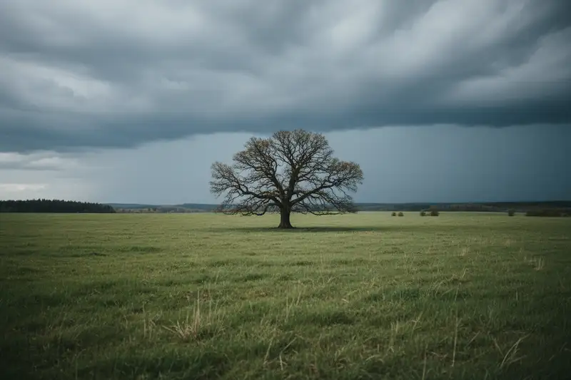 Der VDE empfiehlt im Freien mindestens 10 Meter Abstand zu jedem Baum und mindestens 1 bis 3 Meter zu Masten, Zäunen und anderen Personen.