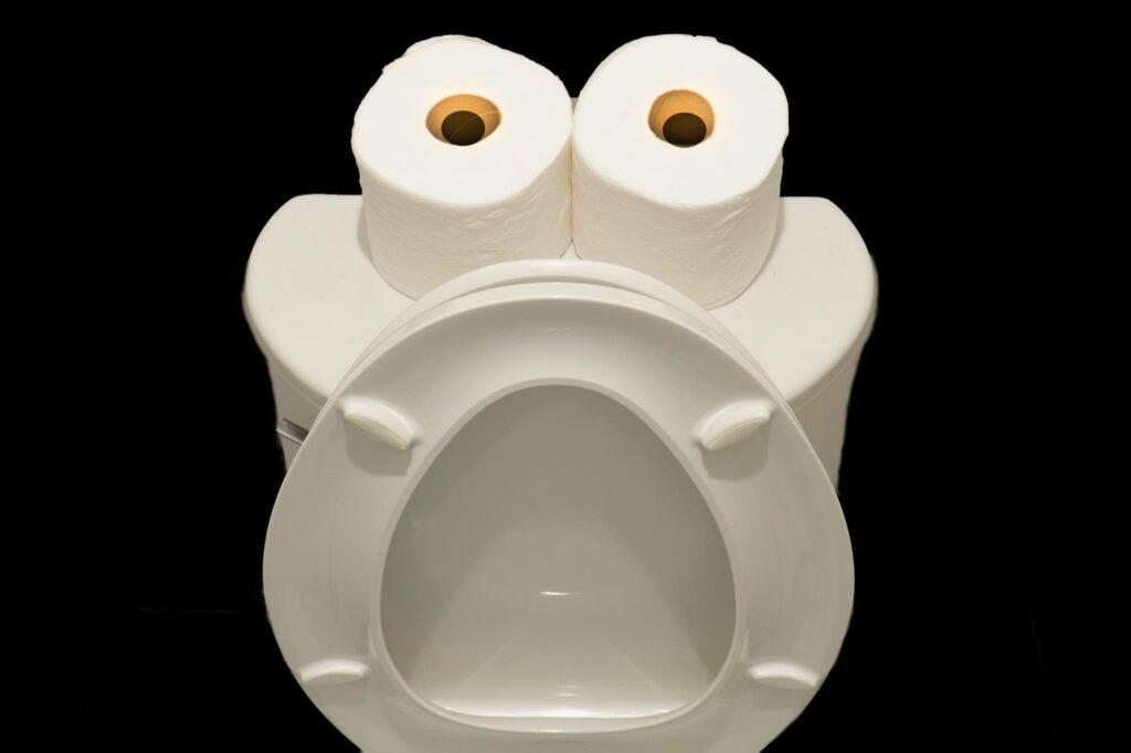 Toilette verstopft: Was tun?