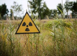 Wer hat die Atombombe erfunden?