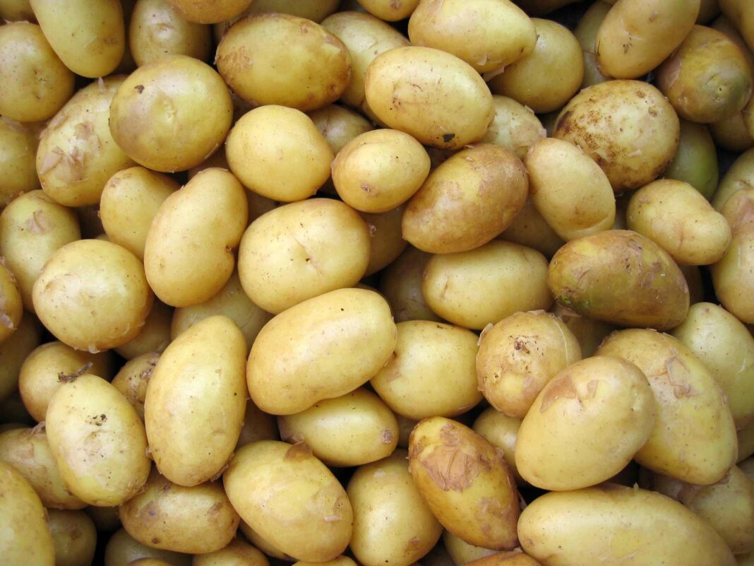 Wie lange müssen Kartoffeln kochen?