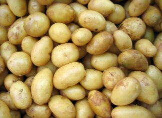 Wie lange müssen Kartoffeln kochen?